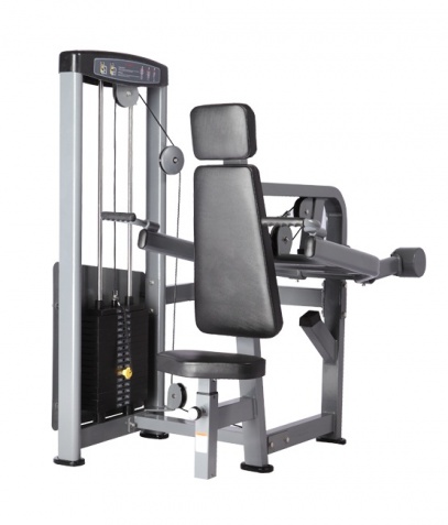 ������� ��������� ����� Bronze Gym �� ����� ������� ���������