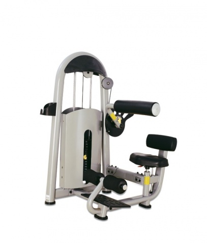 ������� ��������� ����� Bronze Gym �� ����� ������� ���������