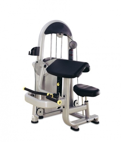 ������� ��������� ����� Bronze Gym �� ����� ������� ���������