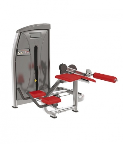 ������� ��������� ����� Bronze Gym �� ����� ������� ���������