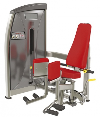 ������� ��������� ����� Bronze Gym �� ����� ������� ���������