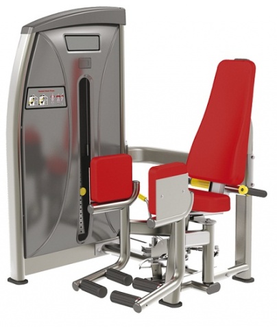 ������� ��������� ����� Bronze Gym �� ����� ������� ���������