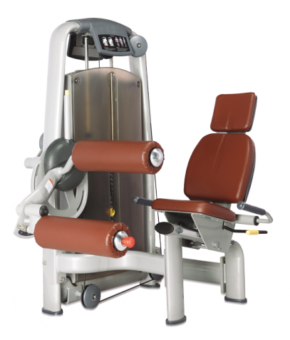 ������� ��������� ����� Bronze Gym �� ����� ������� ���������