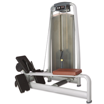 ������� ��������� ����� Bronze Gym �� ����� ������� ���������