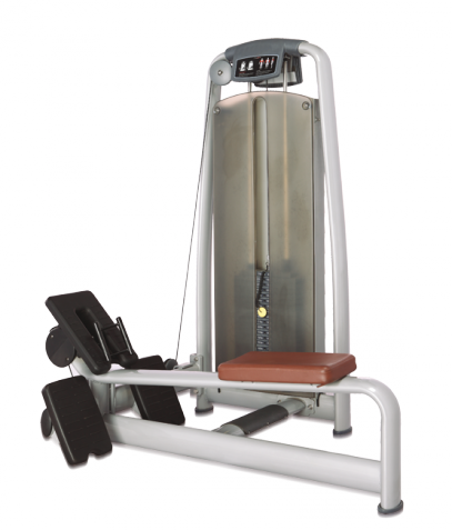 ������� ��������� ����� Bronze Gym �� ����� ������� ���������