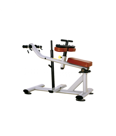 ������� ��������� ����� Bronze Gym �� ����� ������� ���������