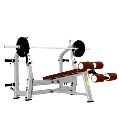 ������ ����� Bronze Gym �� ����� ������� ���������