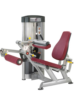 Скамьи фирмы Paramount из серии силовых тренажёров Скамьи фирмы Paramount из серии силовых тренажёров