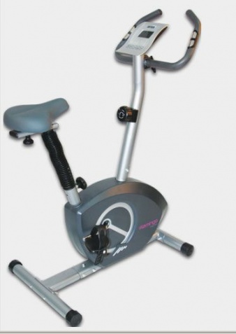 ������������ ����� Winner �� ����� ������-���������