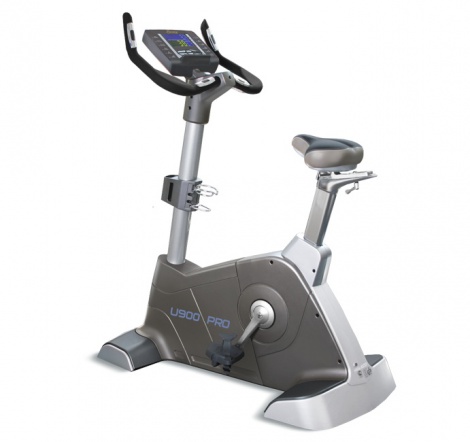 ������������ ����� Bronze Gym �� ����� ������-���������